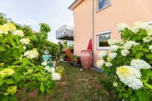 Grünes Wohnumfeld mit gewachsenem Gartencharakter
